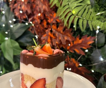 ÇİLEKLİ MAGNOLİA